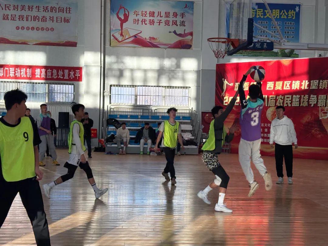 银川市西夏区人民政府(图2)