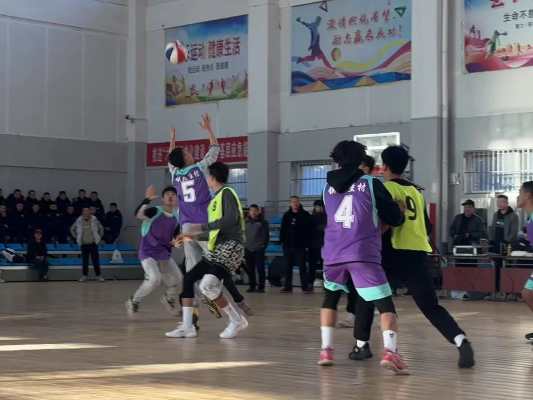 银川市西夏区人民政府