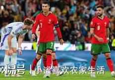 九游体育：C罗获铂金盾奖！星空C罗体育是最当之无愧的葡萄牙人