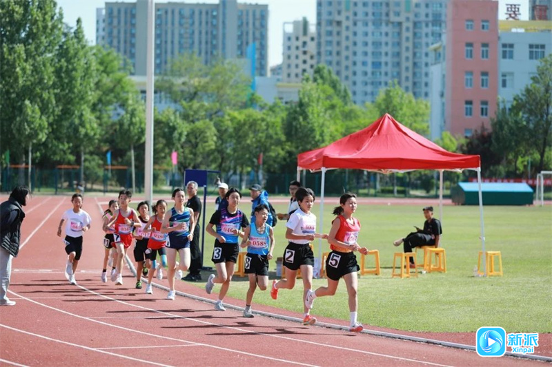 九游官网入口：潍坊市首届青少年田径运动会圆满落幕(图2)