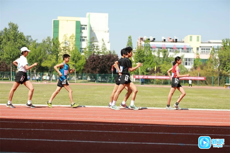 九游官网入口：潍坊市首届青少年田径运动会圆满落幕(图6)