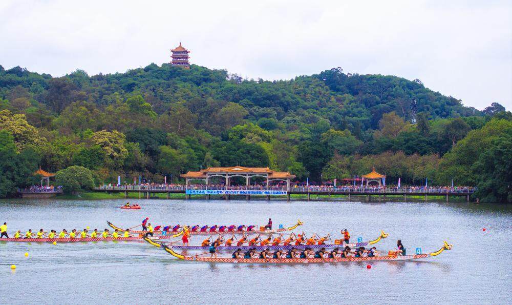 视频｜25支龙舟队麓湖“狂飙”广州市龙舟锦标赛周末开战(图2)