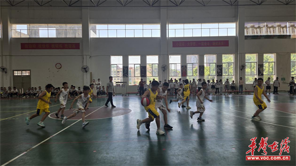 九游官网入口：宁远县莲花小学：“青莲杯”点燃少年热血！(图1)