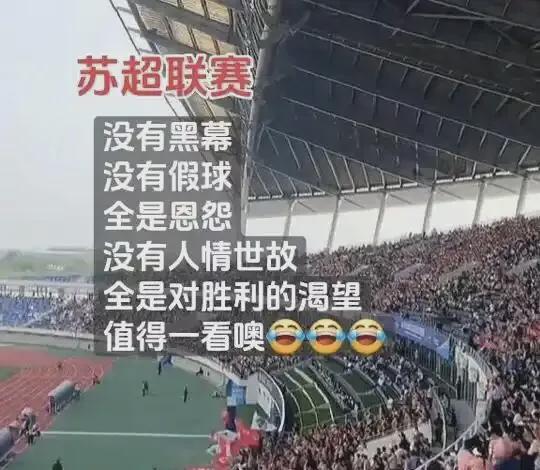 九游官网入口：江苏“苏超”爆火记：当足球撞上“地域梗”万人球场秒变欢乐海(图6)