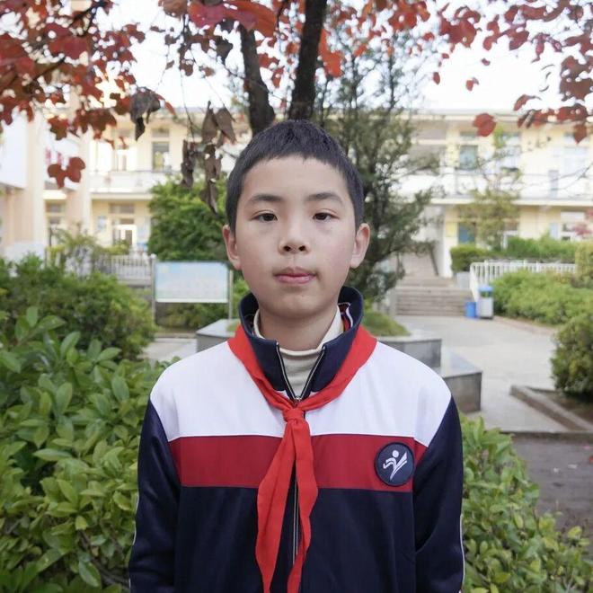 牛啊！大理一小学斩获40个奖项(图3)