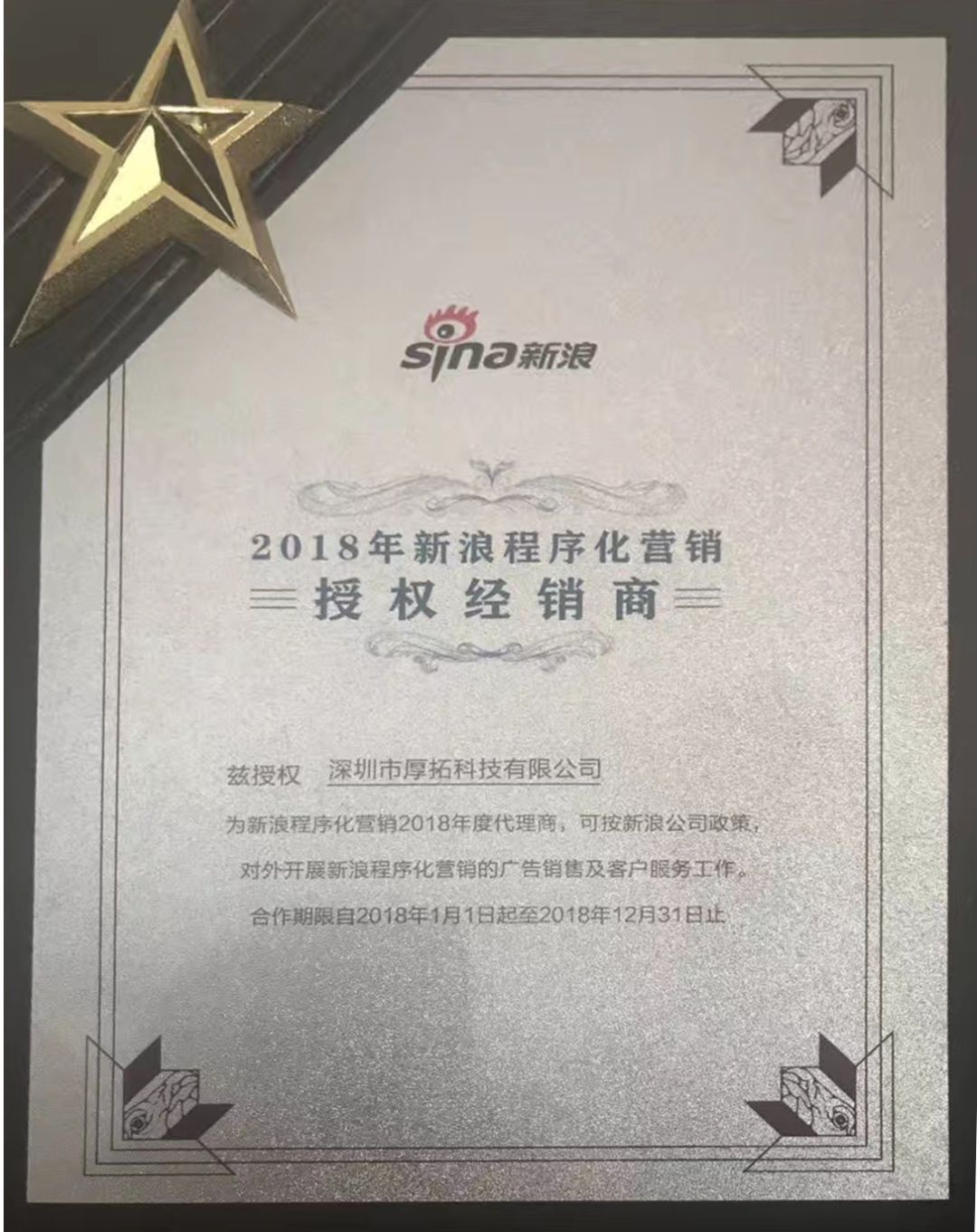 台山九人排球点燃新春激情！还火上了央视(图1)