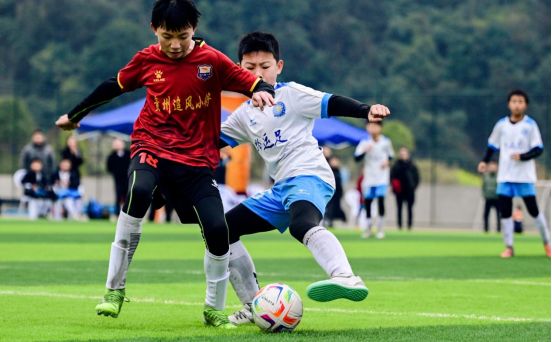 九游体育：绿茵逐梦少年争锋！“2034杯”第六届小学生足球大会贵州赛区圆满落幕(图3)