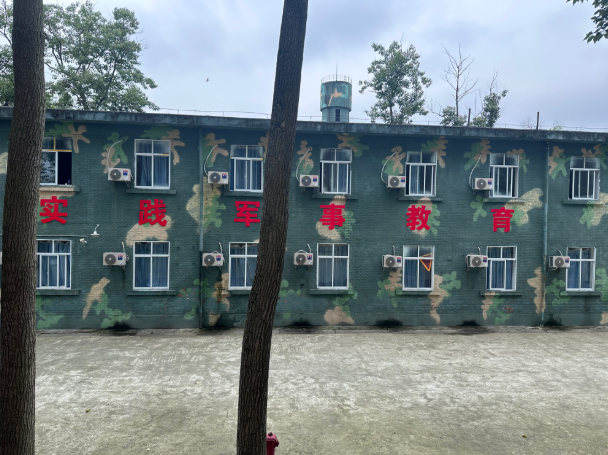 失控的监护“外包”：孩子被送特训机构之后(图1)